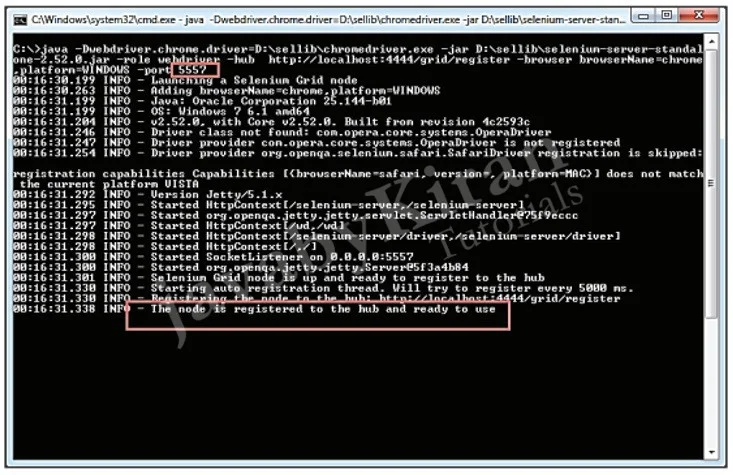 launch google chrome web driver using command prompt