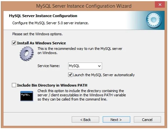 Select Install as Windows Service, click on Next