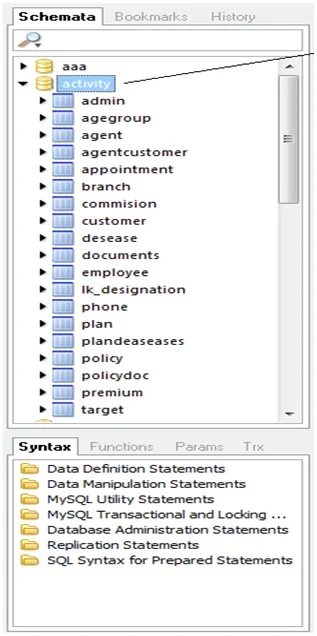 Now we can check in Schemata that database is created with all tables inside it